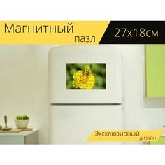 Магнитный пазл "Цветок, желтого цвета, растения" на холодильник 27 x 18 см. Lots Prints