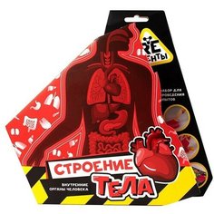 Научно-познавательный набор «Строение тела», модели Re-Агенты ВОЛШЕБНЫЙ МИР