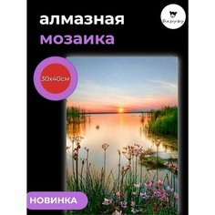 Алмазная мозаика/Живопись/Картина стразами "Лето в деревне" 30х40 см Барубу