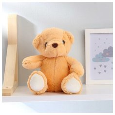 Мягкая игрушка «Мишка Тёмка», 16 см Milo Toys