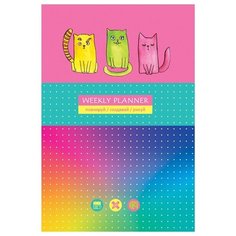 Записная книжка А5 80л. BG "Яркие коты", матовая ламинация, выб. лак, блок в точку BG®