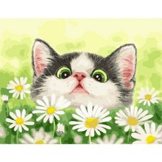 Картина по номерам Котенок в ромашках 40х50 см Hobby Home