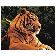 Картина по номерам Амурский тигр 40х50 см Hobby Home