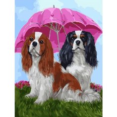 Картина по номерам Щенки под зонтом 40х50 см 000 Art Hobby Home