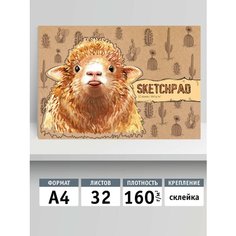 Скетчпад А4, клей,32 листов, Долли, 11005, Seventeen