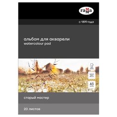 Альбом для акварели ГАММА Старый Мастер 42 х 29.7 см (A3), 300 г/м², 20 л. белый Gamma
