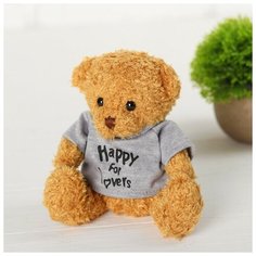 Мягкая игрушка «Медведь в свитере», цвета микс 1 Toy