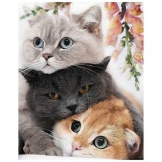 Алмазная мозаика "Пушистая нежность", 40x50, см, Цветной