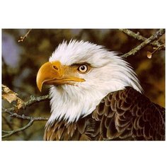 Алмазная мозаика Гранни "Орел" (Ag0527) 38Х27см, полная выкладка, квадратные стразы