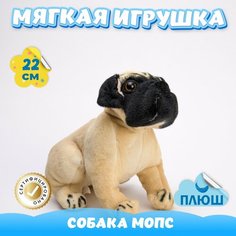 Мягкая игрушка Собака Мопс для девочек и мальчиков / Плюшевая Собачка для детей KiDWoW бежевый 22см