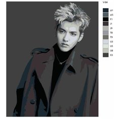 Картина по номерам V-64 "K-pop EXO. Участник группы" 60х80 Brushes Paints
