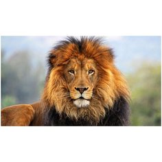 Алмазная мозаика/картина стразами на холсте 30х40 Нет бренда