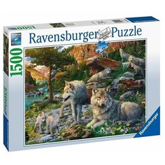 Ravensburger. Пазл карт. 1500 "Волки весной"