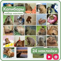 Наклейки - мем Капибары - 24 шт. многоразовые Mandarin