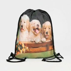 Мешок для обуви на шнурке, цвет чёрный Без бренда