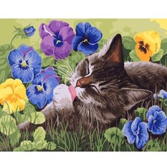 Картина по номерам Кот в цветах 40х50 см Hobby Home