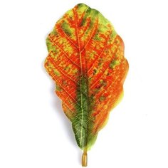 Декор для творчества «Листья №15» набор 3 шт, размер 1 шт. — 6 × 12 см Школа талантов