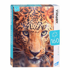 Пазлы 160 "Африка" Dream Makers