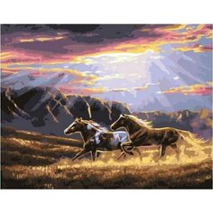 Картина по номерам В лучах солнца 40х50 см Hobby Home