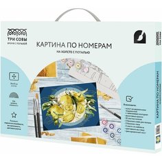 Картина по номерам на холсте ТРИ совы "Лимоны", 30*40, с поталью, акриловыми красками и кистями