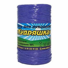 Пряжа Прочее Нить для рукоделия "Кудряшка" "500гр.", чернило - 011, 100% полипропилен, 5 мотков, 100 г, 400 м. Малик