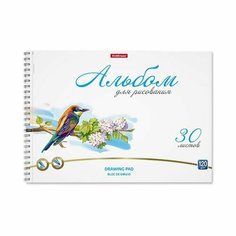 Альбом для рисования А4, 30л на спирали ErichKrause Birds, микроперфорация (комплект из 8 шт)