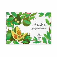 Альбом для рисования А4, 20л на спирали ErichKrause Juicy Fruits, микроперфорация (комплект из 12 шт)