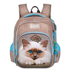 Рюкзак школьный, Across, CS23-230-3 Cassh