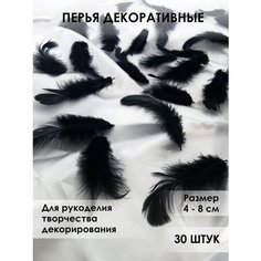 Перья для рукоделия декоративные 30 шт черные Хан Рокс