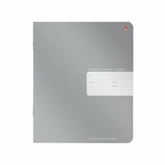 Тетрадь школьная Альт "Platinum", А5, 12 листов, линия, 10 шт в упаковке (7-12-589/2-10)