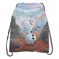 Мешок - сумка для обуви Холодное сердце № 13 Bugrik Shop