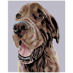 Картина по номерам Сторожевой пес 40х50 см АртТойс