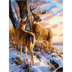 Картина по номерам Под защитой 40х50 см АртТойс