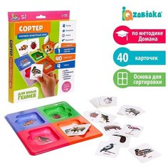 IQ-ZABIAKA Сортер «Изучаем животный мир» с карточками Домана