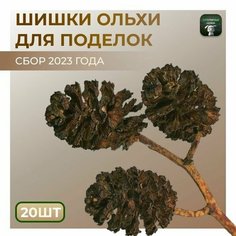 Шишки ольхи. Ольховые соплодия. Набор природных материалов для рукоделия и творчества. Нет бренда