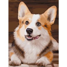 Картина по номерам Корги 40х50 см АртТойс