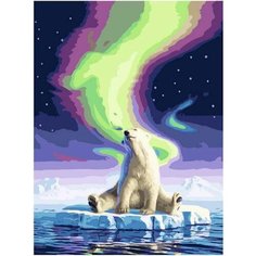 Картина по номерам В объятиях северного сияния 40х50 см АртТойс