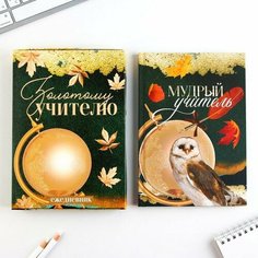 Ежедневник в подарочной коробке, А5, 80 листов, твердая обложка «Золотому учителю» Art Fox