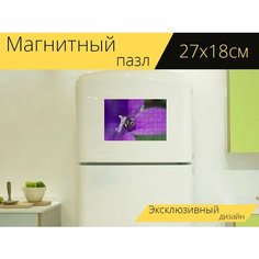 Магнитный пазл "Паук, маленький паук, насекомое" на холодильник 27 x 18 см. Lots Prints
