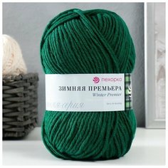 Пряжа Пехорка Зимняя премьера, 50 % мериносовая шерсть, 50 % акрил, 100 г, 150 м, 1 шт., 376 нефрит