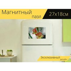 Магнитный пазл "Гладиолусы, цветок, цвета" на холодильник 27 x 18 см. Lots Prints