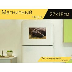 Магнитный пазл "Лошадь, лежа, трава" на холодильник 27 x 18 см. Lots Prints