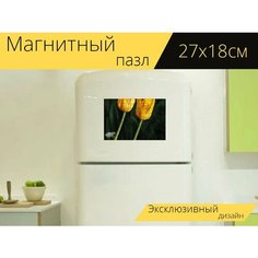 Магнитный пазл "Тюльпаны, цветы, пара" на холодильник 27 x 18 см. Lots Prints