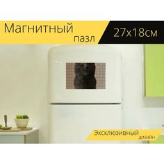 Магнитный пазл "Кошка, кошачий, усы" на холодильник 27 x 18 см. Lots Prints