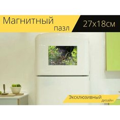 Магнитный пазл "Паук, agelena labyrinthica, паутина" на холодильник 27 x 18 см. Lots Prints