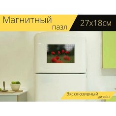 Магнитный пазл "Красные маки, цветок, цветущий" на холодильник 27 x 18 см. Lots Prints