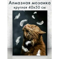 Алмазная мозаика (круг) "Котик с перышками" 40х50 см Colibri