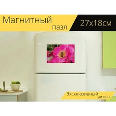 Магнитный пазл "Насекомые, пчелы, пчела" на холодильник 27 x 18 см. Lots Prints