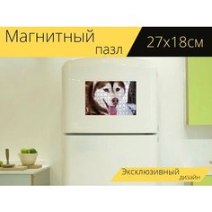 Магнитный пазл "Хаски, собака, ездовая собака" на холодильник 27 x 18 см. Lots Prints