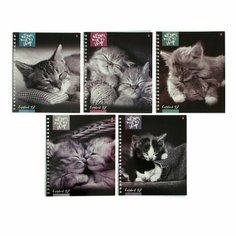 Тетрадь А5+, 48 листов в клетку, на гребне "Котята мур-мур", обложка мелованный картон, глянцевая ламинация, микс (комплект из 18 шт) Альт